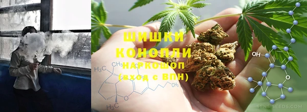 ПСИЛОЦИБИНОВЫЕ ГРИБЫ Алексеевка